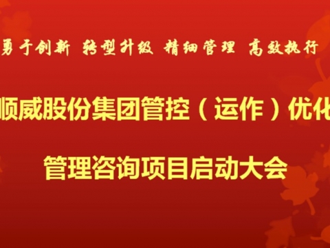 1+1大于2龙8“结盟”中大咨询 启动集团管控优化咨询项目