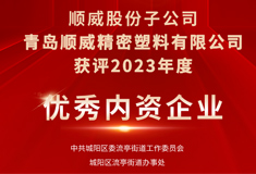 热烈祝贺!青岛龙8获评“2023年度优秀内资企业”